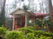 wayanad tour package from ernakulam