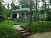 wayanad tour package from ernakulam