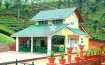 wayanad tour package from ernakulam