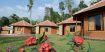 wayanad tour package from ernakulam