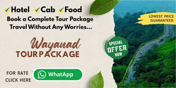 Tour Package Ad